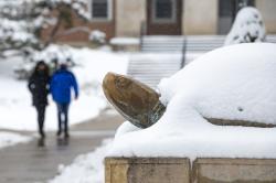 A picture of UMD testudo in the winter.