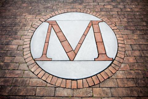 a picture of the UMD "M" on bricks